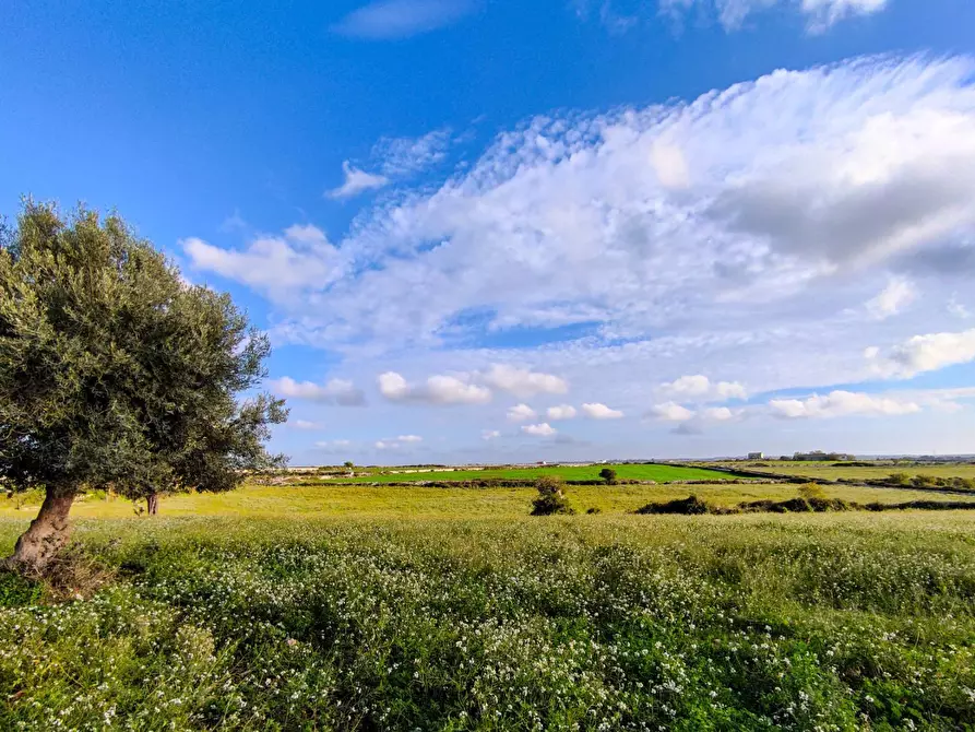 Immagine 23 di Rustico / casale in vendita  in Strada provinciale 14 snc a Ragusa