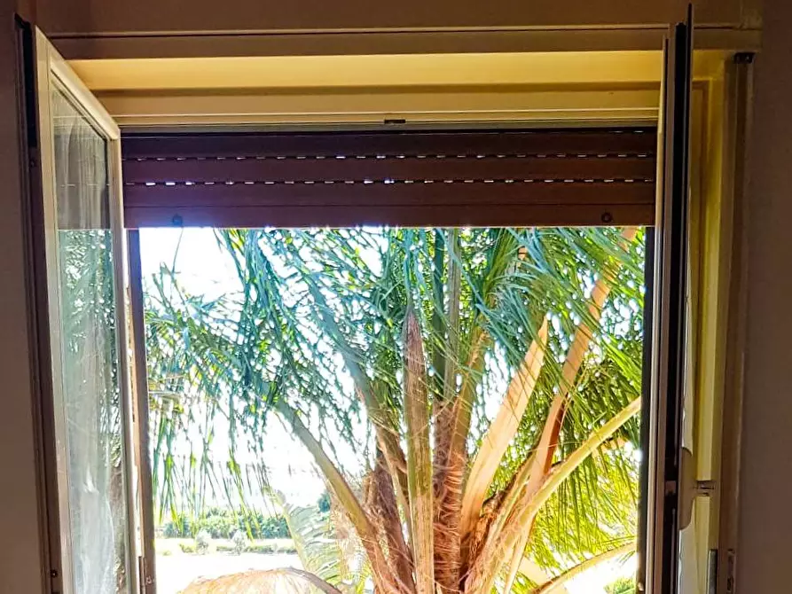 Immagine 7 di Villa in affitto  in Viale dei Fiori snc a Augusta