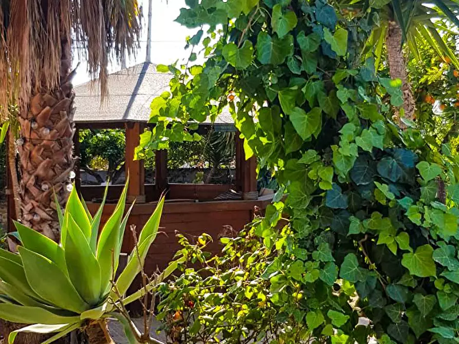 Immagine 20 di Villa in affitto  in Viale dei Fiori snc a Augusta