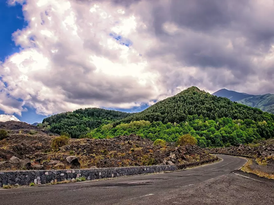 Immagine 3 di Terreno agricolo in vendita  in ss120 snc a Linguaglossa
