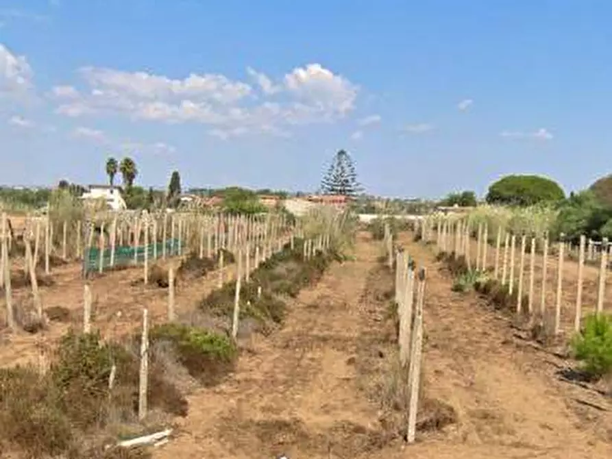 Immagine 16 di Villa in vendita  in Via dei Gelsomini snc a Ispica