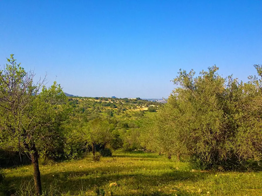 Immagine 12 di Rustico / casale in vendita  in Strada Statale 115 snc a Noto