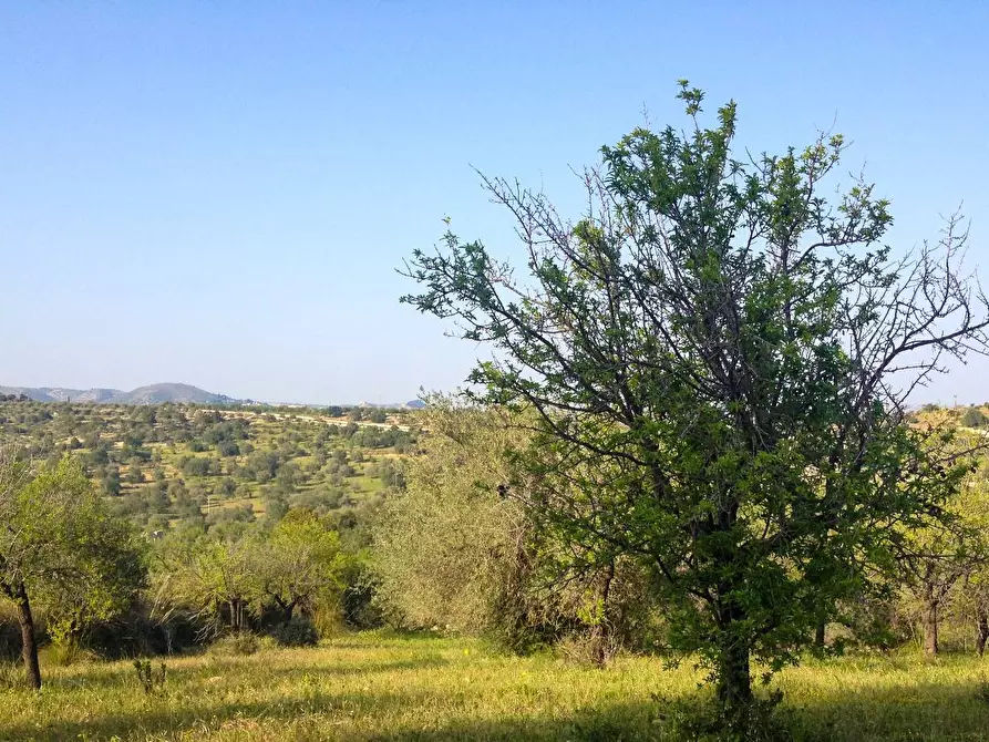 Immagine 7 di Rustico / casale in vendita  in Strada Statale 115 snc a Noto
