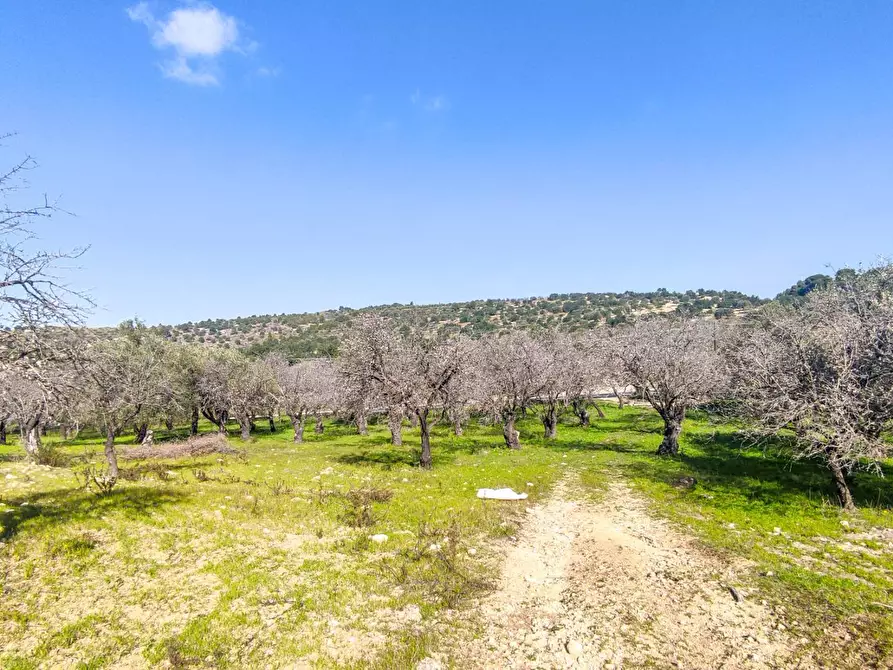 Immagine 17 di Rustico / casale in vendita  in Strada Statale 115 snc a Noto