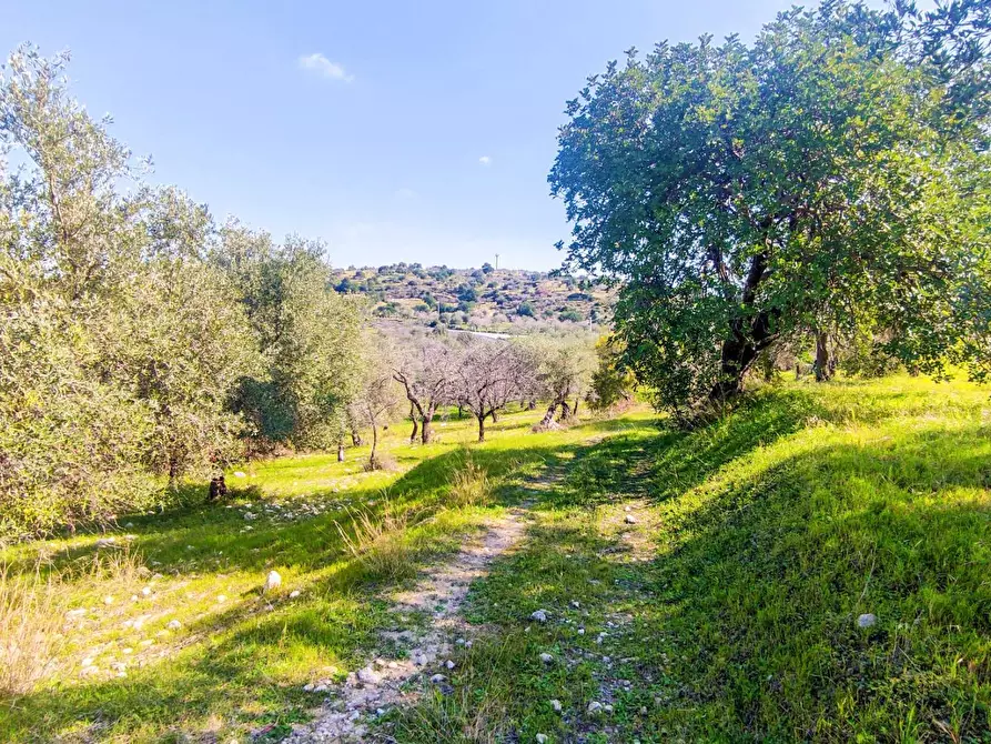 Immagine 9 di Rustico / casale in vendita  in Strada Statale 115 snc a Noto
