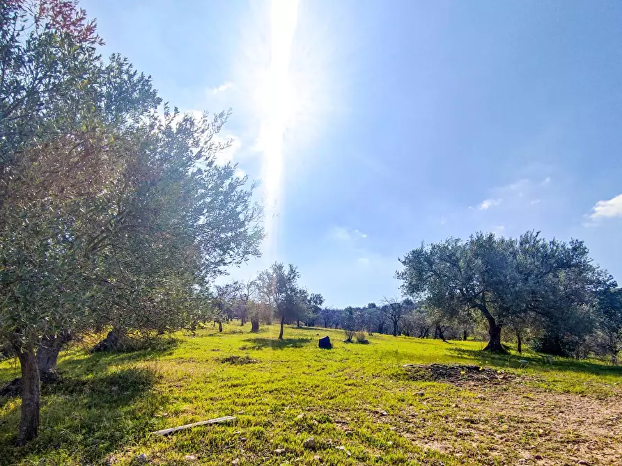 Immagine 8 di Rustico / casale in vendita  in Strada Statale 115 snc a Noto