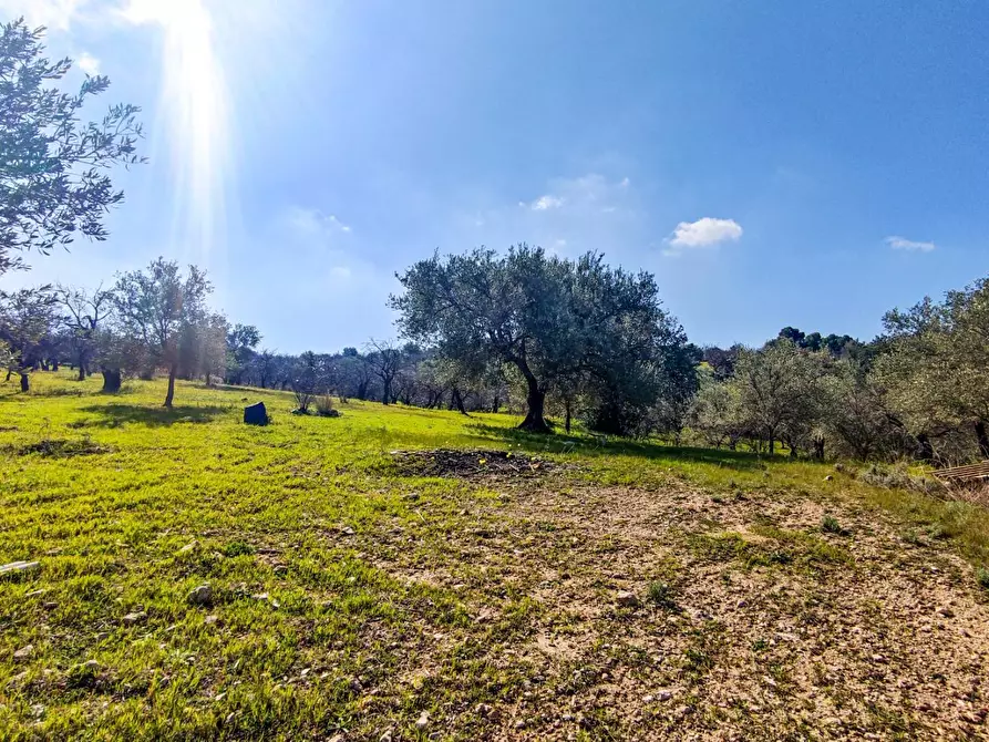 Immagine 6 di Rustico / casale in vendita  in Strada Statale 115 snc a Noto