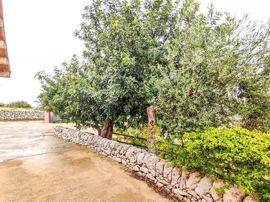 Immagine 31 di Villa in vendita  in Via villa Barco snc a Modica