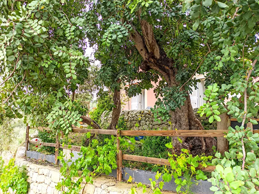 Immagine 4 di Villa in vendita  in Via villa Barco snc a Modica