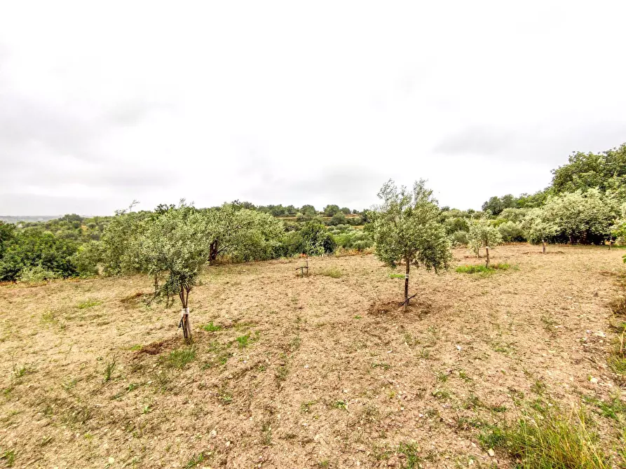 Immagine 34 di Villa in vendita  in Via villa Barco snc a Modica