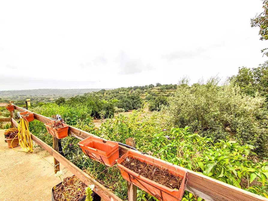 Immagine 39 di Villa in vendita  in Via villa Barco snc a Modica