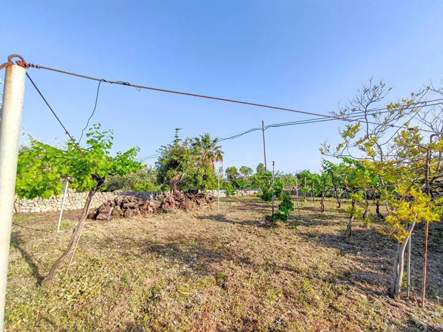 Immagine 38 di Villa in vendita  in Via Vanella 182 snc a Modica