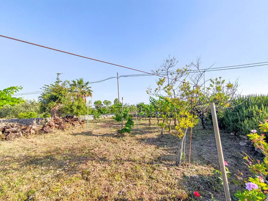 Immagine 33 di Villa in vendita  in Via Vanella 182 snc a Modica