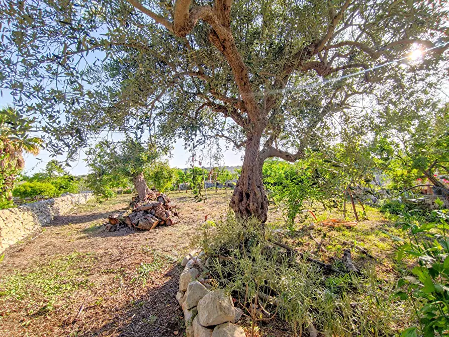 Immagine 31 di Villa in vendita  in Via Vanella 182 snc a Modica