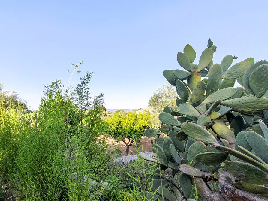 Immagine 32 di Villa in vendita  in Via Vanella 182 snc a Modica