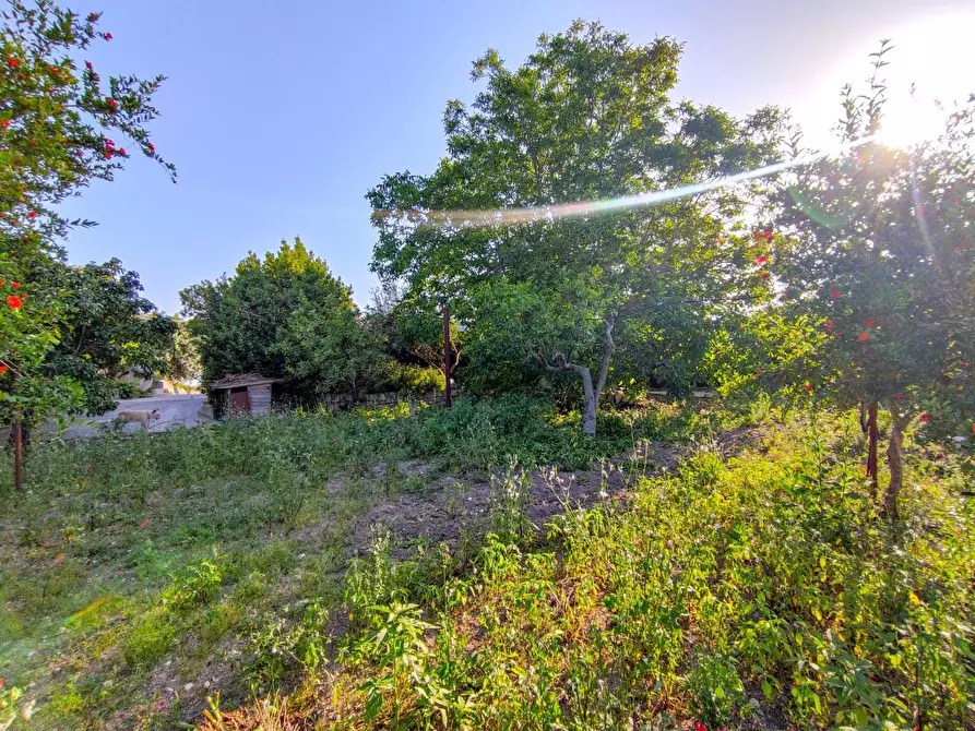 Immagine 34 di Villa in vendita  in Via Vanella 182 snc a Modica