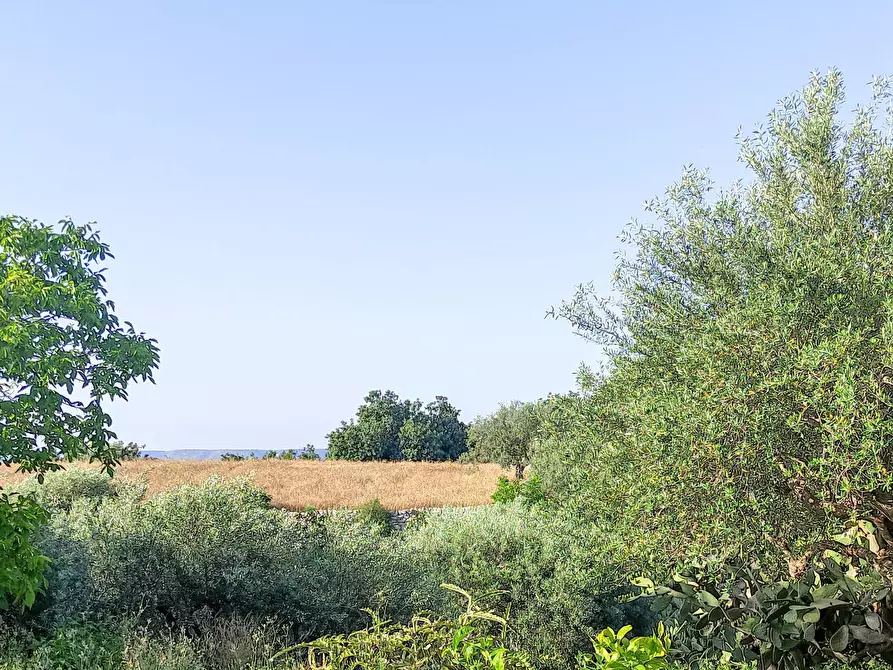 Immagine 35 di Villa in vendita  in Via Vanella 182 snc a Modica