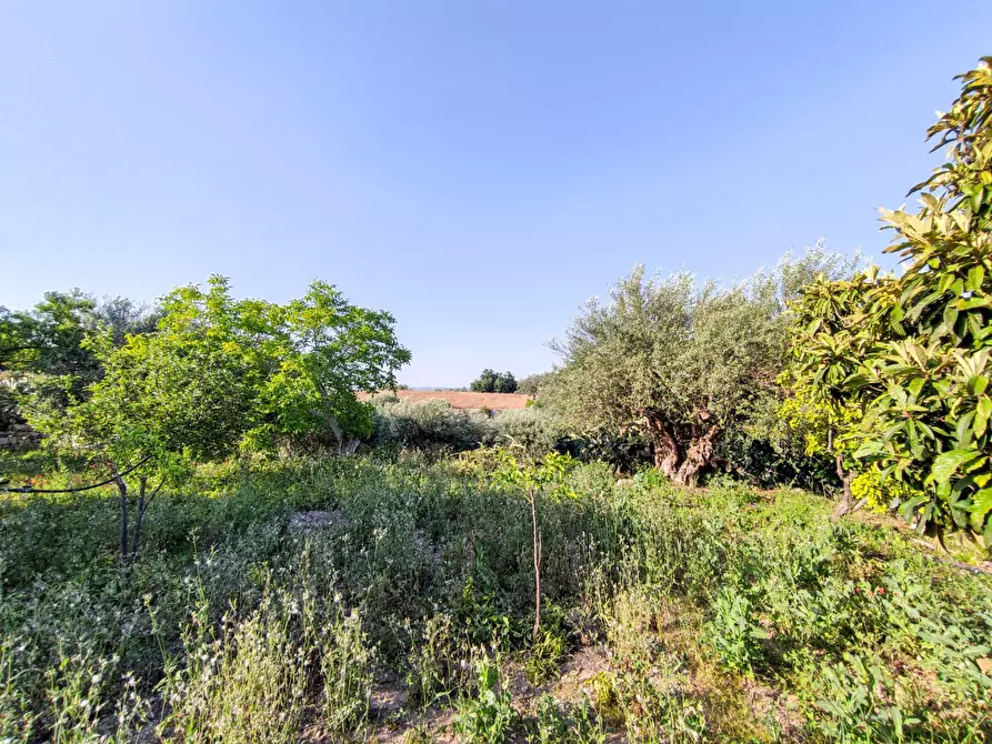 Immagine 37 di Villa in vendita  in Via Vanella 182 snc a Modica