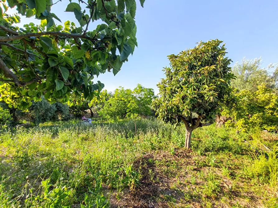 Immagine 39 di Villa in vendita  in Via Vanella 182 snc a Modica