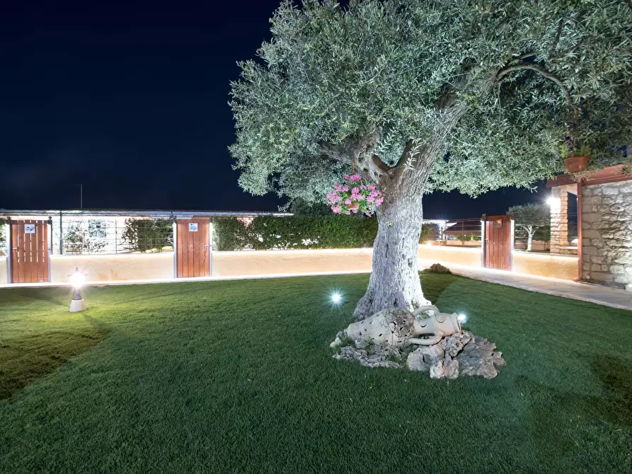 Immagine 34 di Villa in affitto  in contrada cancaleo snc a Ispica