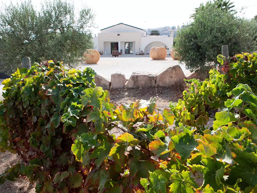 Immagine 18 di Albergo/B&B/Residence in affitto  in contrada favara snc a Ispica