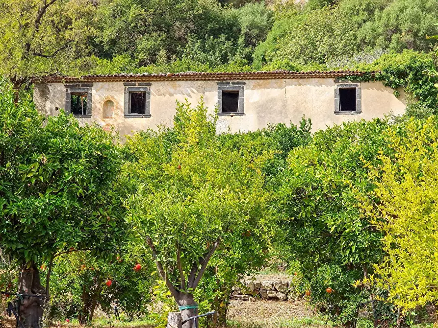 Immagine 2 di Rustico / casale in vendita  in strada provinciale 81 snc a Castiglione Di Sicilia