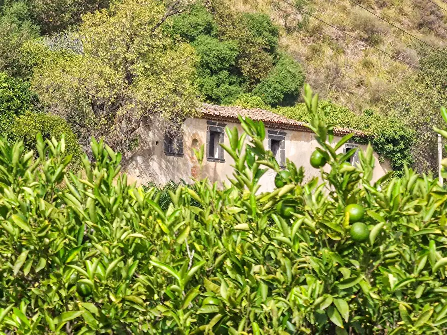 Immagine 3 di Rustico / casale in vendita  in strada provinciale 81 snc a Castiglione Di Sicilia