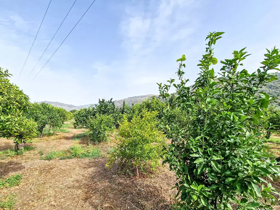 Immagine 14 di Rustico / casale in vendita  in strada provinciale 81 snc a Castiglione Di Sicilia