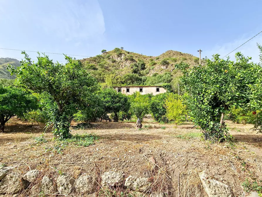 Immagine 31 di Rustico / casale in vendita  in strada provinciale 81 snc a Castiglione Di Sicilia