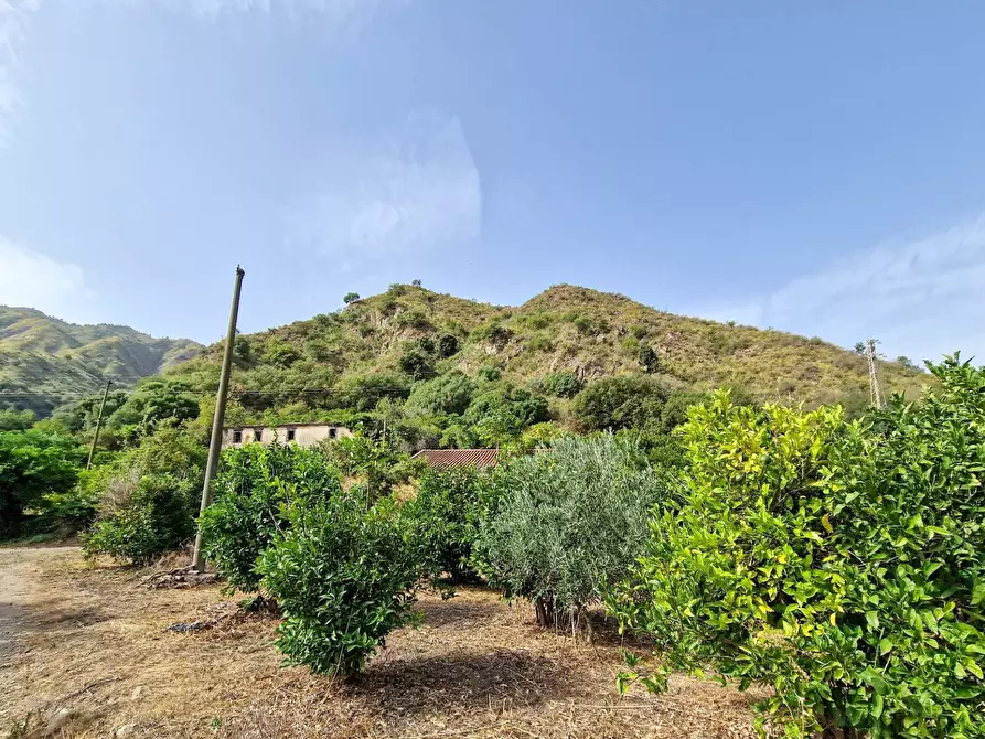 Immagine 17 di Rustico / casale in vendita  in strada provinciale 81 snc a Castiglione Di Sicilia