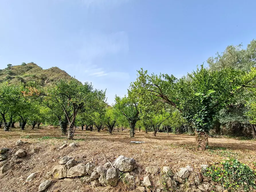 Immagine 16 di Rustico / casale in vendita  in strada provinciale 81 snc a Castiglione Di Sicilia