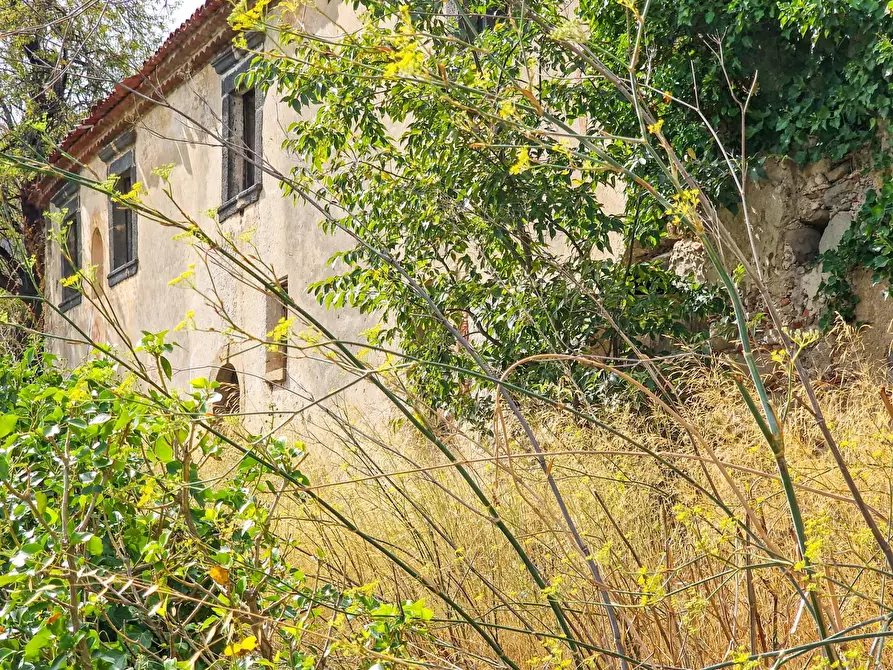 Immagine 5 di Rustico / casale in vendita  in strada provinciale 81 snc a Castiglione Di Sicilia