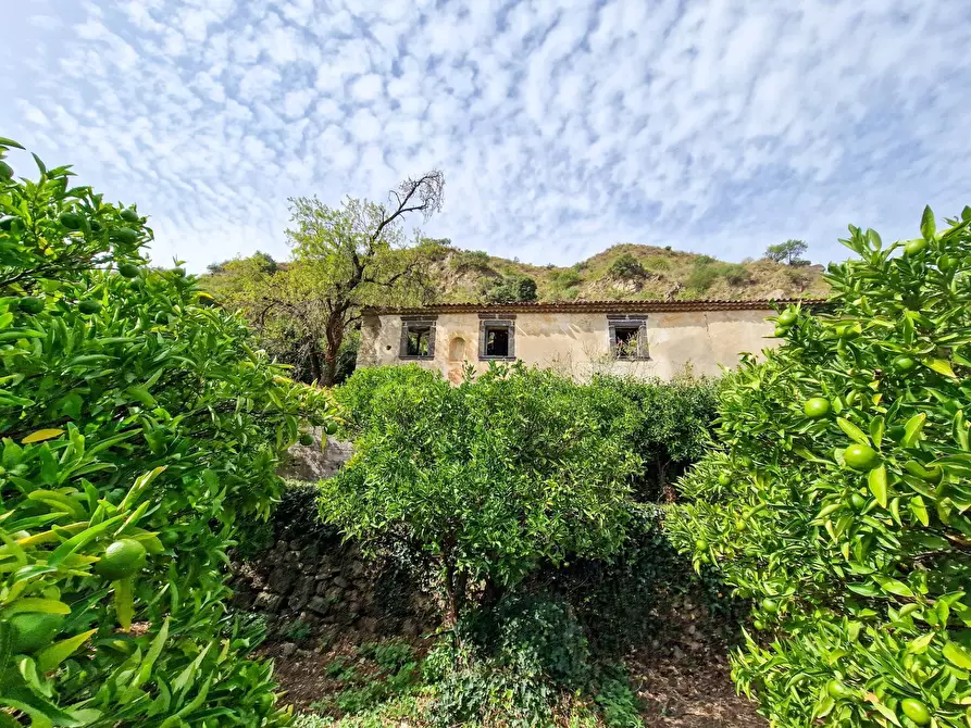 Immagine 9 di Rustico / casale in vendita  in strada provinciale 81 snc a Castiglione Di Sicilia