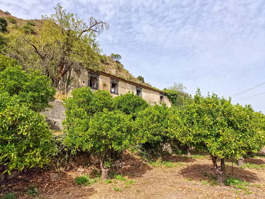 Immagine 4 di Rustico / casale in vendita  in strada provinciale 81 snc a Castiglione Di Sicilia