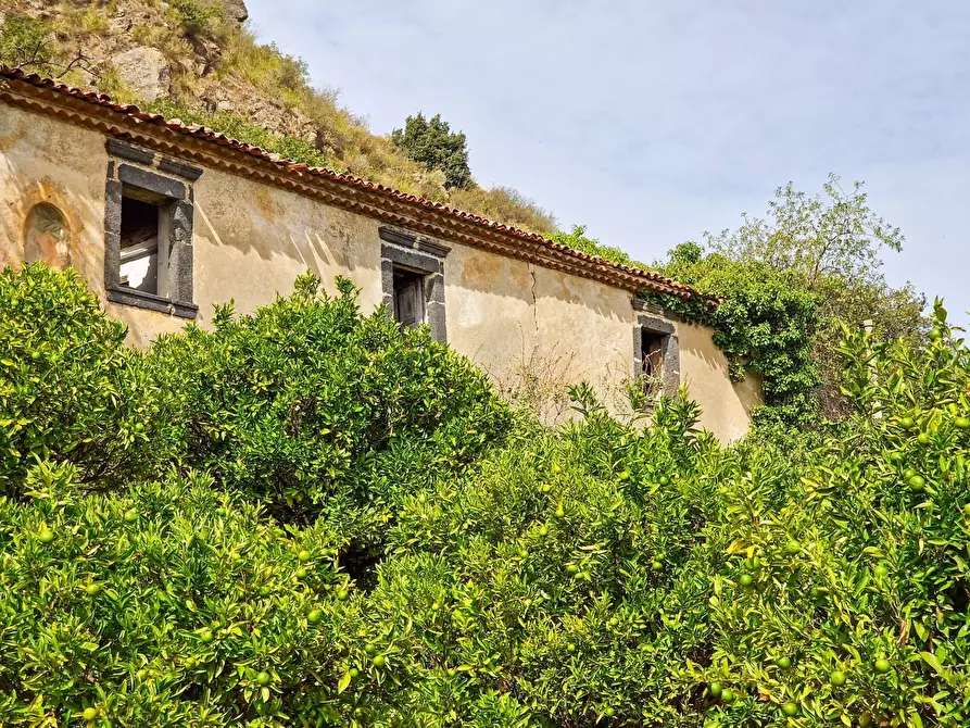 Immagine 10 di Rustico / casale in vendita  in strada provinciale 81 snc a Castiglione Di Sicilia