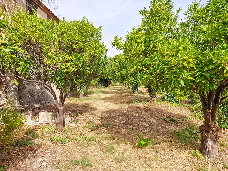Immagine 19 di Rustico / casale in vendita  in strada provinciale 81 snc a Castiglione Di Sicilia