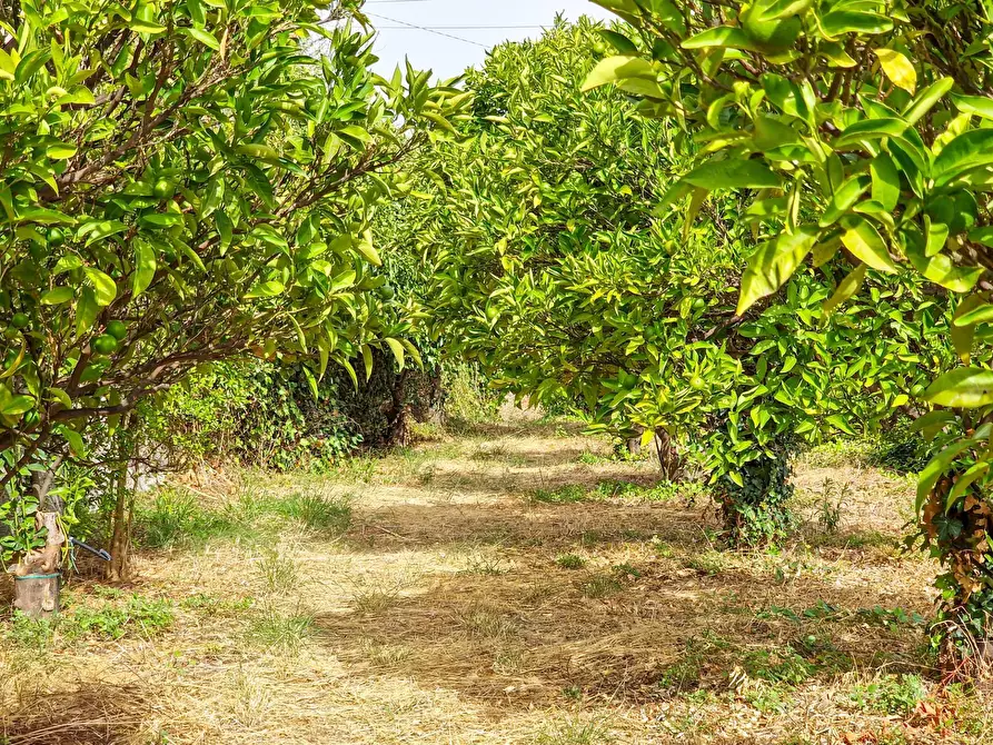 Immagine 20 di Rustico / casale in vendita  in strada provinciale 81 snc a Castiglione Di Sicilia
