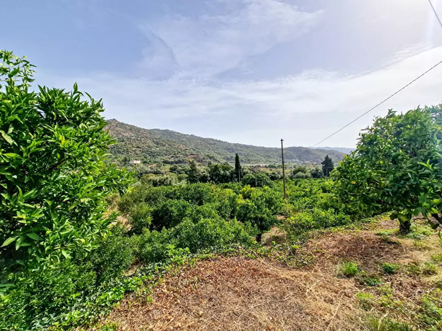 Immagine 21 di Rustico / casale in vendita  in strada provinciale 81 snc a Castiglione Di Sicilia
