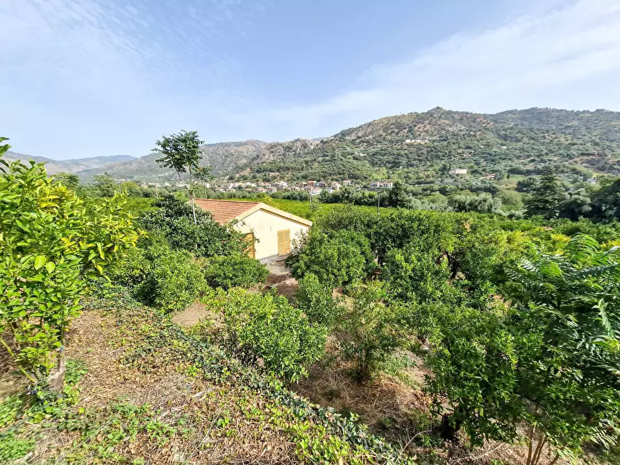 Immagine 22 di Rustico / casale in vendita  in strada provinciale 81 snc a Castiglione Di Sicilia