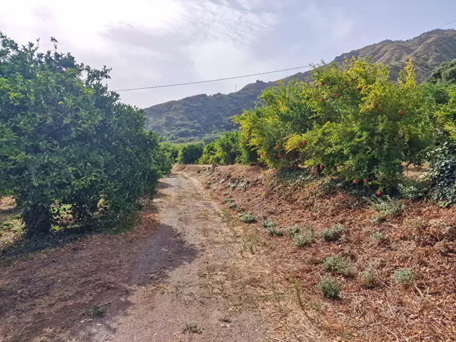 Immagine 24 di Rustico / casale in vendita  in strada provinciale 81 snc a Castiglione Di Sicilia