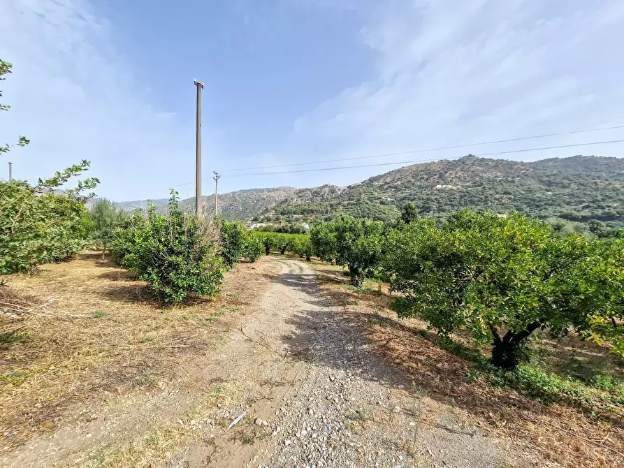 Immagine 25 di Rustico / casale in vendita  in strada provinciale 81 snc a Castiglione Di Sicilia