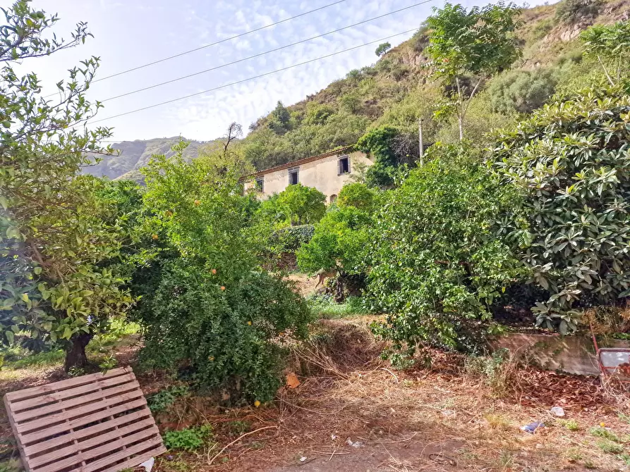 Immagine 26 di Rustico / casale in vendita  in strada provinciale 81 snc a Castiglione Di Sicilia