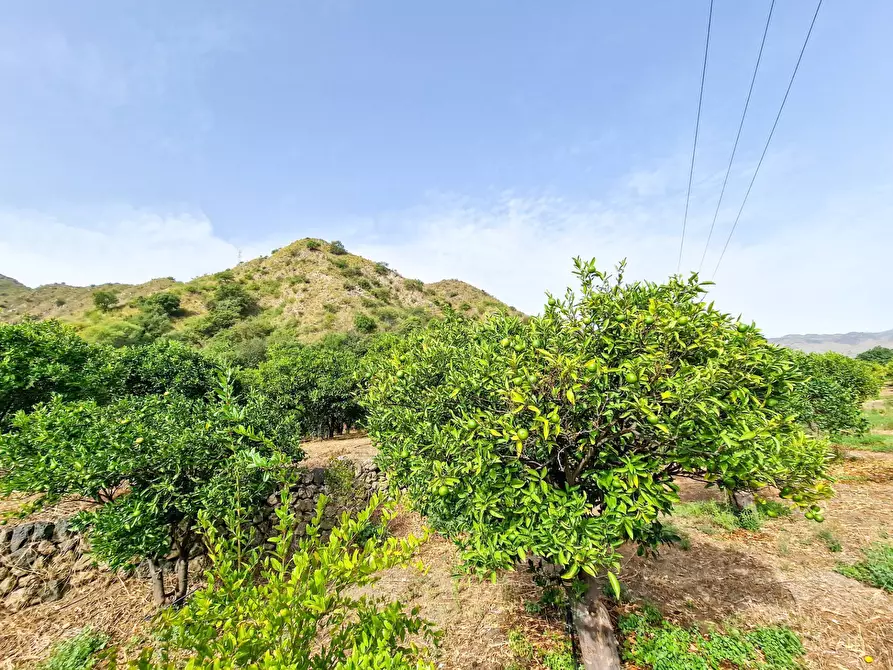 Immagine 29 di Rustico / casale in vendita  in strada provinciale 81 snc a Castiglione Di Sicilia