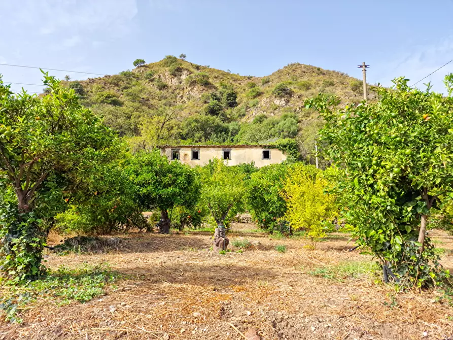 Immagine 6 di Rustico / casale in vendita  in strada provinciale 81 snc a Castiglione Di Sicilia