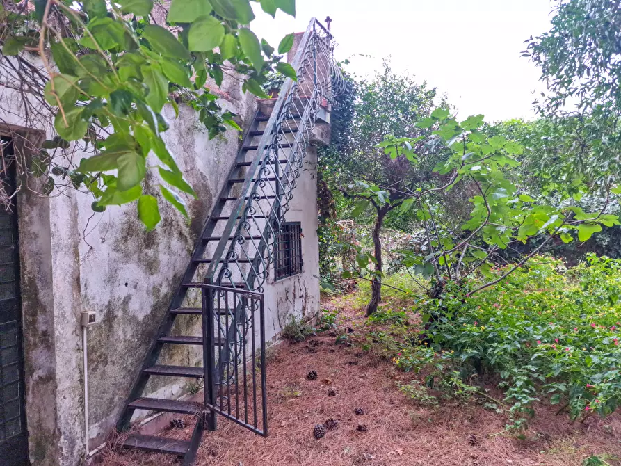 Immagine 20 di Villa in vendita  in Viscalori snc a Viagrande