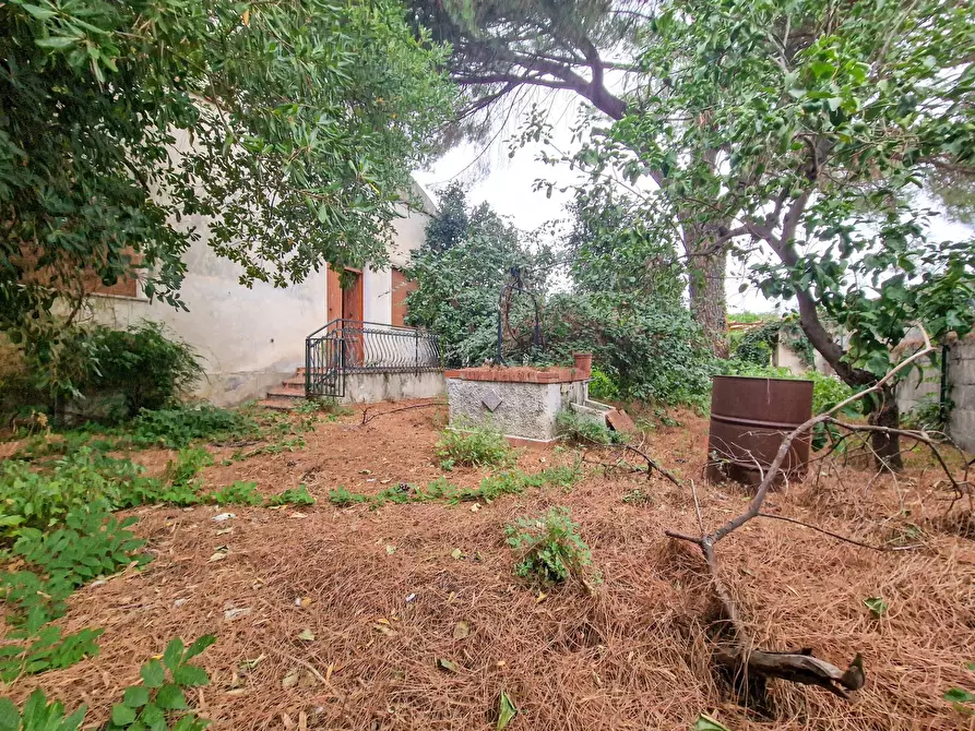 Immagine 18 di Villa in vendita  in Viscalori snc a Viagrande