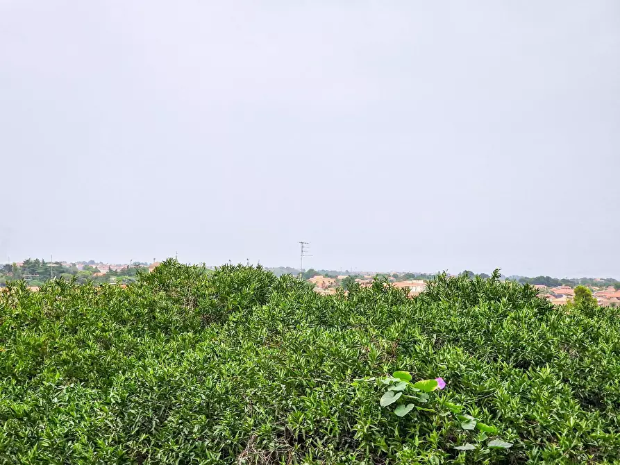 Immagine 24 di Villa in vendita  in Viscalori snc a Viagrande