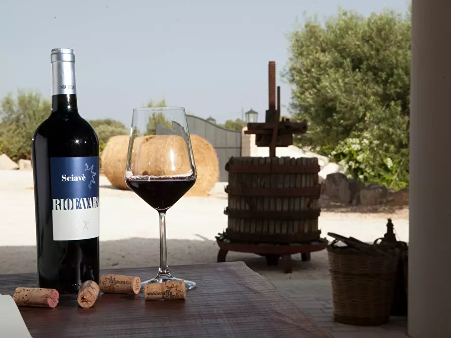 Immagine 6 di Albergo/B&B/Residence in affitto  in contrada favara snc a Ispica