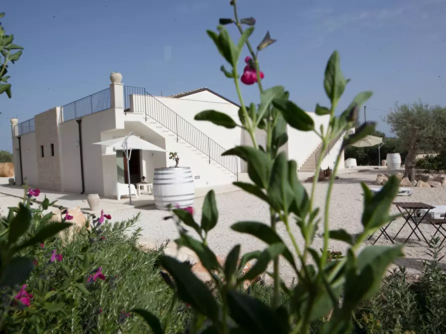 Immagine 7 di Albergo/B&B/Residence in affitto  in contrada favara snc a Ispica