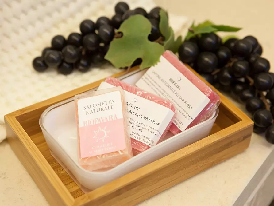 Immagine 25 di Albergo/B&B/Residence in affitto  in contrada favara snc a Ispica